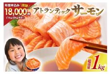 ノルウェー産 アトランティックサーモン 総重量 1kg (正味重量850g) [カネダイ 宮城県 気仙沼市 20565509] 魚 魚介類 サーモン 刺身 アトランティック アトラン 小分け 冷凍 鮭 さけ 訳あり ノルウェー