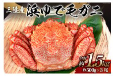 【期間限定発送】かに 三陸産浜ゆで毛ガニ 約500g×3 計1.5kg [村東商店 宮城県 気仙沼市 20564163] 魚介類 海鮮 三陸産 三陸 カニ 蟹 毛ガニ 毛がに 毛蟹 ボイル 浜茹で 浜ゆで ごちそう 冷蔵
