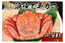 【期間限定発送】かに 三陸産浜ゆで毛ガニ 約500g [村東商店 宮城県 気仙沼市 20564164] 魚介類 海鮮 三陸産 三陸 カニ 蟹 毛ガニ 毛がに 毛蟹 ボイル 浜茹で 浜ゆで ごちそう 冷蔵