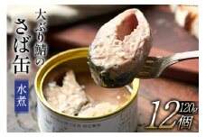 大ぶり鯖のさば缶 12缶 セット 水煮 [モンマルシェ 宮城県 気仙沼市 20565067] 缶詰 サバ缶 サバ 缶詰め かんづめ 鯖 さば さばの水煮 水煮 簡単調理 高級 保存食 常備 常温