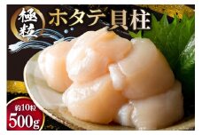 ホタテ 極粒 帆立貝柱 冷凍 （約500g/10粒前後) [水山養殖場 宮城県 気仙沼市 20564003] 帆立 ほたて ほたて 貝 冷凍 海鮮 大粒 大玉 大きい 刺身 バター焼き 魚介類 魚介 貝柱