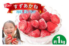 訳あり 冷凍 夏いちご すずあかね 約1kg [水山養殖場 宮城県 気仙沼市 20564004] 果物 イチゴ いちご 苺 簡易包装 フルーツ