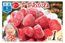 訳あり 冷凍 夏いちご すずあかね 約1kg [水山養殖場 宮城県 気仙沼市 20564004] 果物 イチゴ いちご 苺 簡易包装 フルーツ