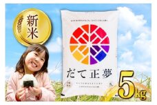 米 令和7年産 宮城県産 だて正夢 5kg [気仙沼米穀商業協同組合 宮城県 気仙沼市 20565768] 一等米 ブランド米 白米 精米 ご飯 ごはん コメ こめ 小分け 家庭用 レビューキャンペーン