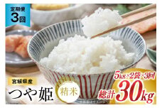 3回 定期便 米 宮城県産 つや姫 10kg (5kg ×2袋) 総計 30kg [菊武商店 宮城県 気仙沼市 20564924] お米 こめ コメ 白米 精米 ブランド米 ご飯 ごはん 小分け 家庭用 3ヶ月