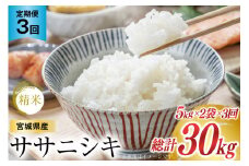 3回 定期便 米 宮城県産 ササニシキ 10kg (5kg ×2袋)  ×3回 総計 30kg [菊武商店 宮城県 気仙沼市 20564929] お米 こめ コメ 白米 精米 ブランド米 ご飯 ごはん 小分け 家庭用 3ヶ月