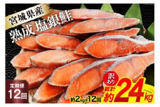 定期便 《12ヶ月連続お届け》 訳あり 宮城県産 熟成 銀鮭 切身 約2kg×12回 計24kg [宮城東洋 宮城県 気仙沼市 20564498] 魚 鮭 海鮮 国産 さけ 鮭 甘口 サケ 鮭切身 シャケ 切り身 冷凍 おかず 弁当 支援 事業者支援 サーモン