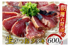 朝獲れ 産地直送 冷蔵便 生かつおタタキ 600g（2～3筋） タレ付 真空パック [阿部長商店 宮城県 気仙沼市 20564103] 冷蔵 鮮魚 魚 かつお カツオ 鰹 刺身 冷蔵 季節限定 カツオタタキ かつおタタキ