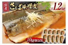 国産 さば 味噌煮 120g×10パック [阿部長商店 宮城県 気仙沼市 20564777] 個包装 真空パック 鯖 サバ さば 味噌煮 惣菜 魚 加工品 切り身 さばみそ サバ味噌 簡単 簡単調理 温めるだけ 冷凍