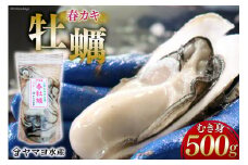 【期間限定発送】ヤマヨ水産の牡蠣 生食用 むき身 500g 《5月前半～出荷》 [気仙沼市物産振興協会 宮城県 気仙沼市 20565237] 魚介類 海鮮 牡蠣 春 かき 春牡蠣 春かき 期間限定 冷蔵 生食 生牡蠣