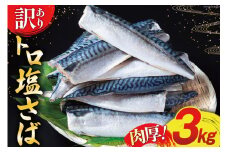 訳あり 塩サバ フィレ 3kg [足利本店 宮城県 気仙沼市 20564146] 魚介類 魚 海鮮 大容量 サバ さば 鯖 サバフィレ サバフィーレ 鯖フィレ トロサバ 訳アリ 訳あり わけあり 切り身 冷凍