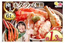 本 タラバガニ 脚 スリット入 約1.3kg 極太6Lサイズ ボイル済 [カネダイ 宮城県 気仙沼市 20564363] カニ かに 蟹 たらばがに たらば蟹 タラバ蟹 たらば タラバ ボイル 訳あり 感想