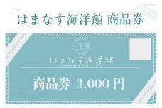 チケット はまなす海洋館 商品券 3000円分×1 [はまなす海洋館 宮城県 気仙沼市 20564317] 券 金券 旅行 旅 たび 食事 観光