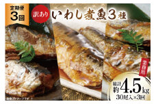 3回 定期便 訳あり 業務用 いわし煮魚 3種 ×10尾 計30尾入 約1.5kg ×3回 総重量 約4.5kg [カネダイ 宮城県 気仙沼市 20565563] 魚 魚介 煮魚 国産 生姜煮 梅肉煮 みぞれ煮 おかず 焼き魚 簡単 時短 訳アリ 冷凍