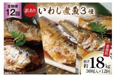 12回 定期便 訳あり 業務用 いわし煮魚 3種 ×10尾 計30尾入 約1.5kg ×12回 総重量 約18kg [カネダイ 宮城県 気仙沼市 20565565] 魚 魚介 煮魚 国産 生姜煮 梅肉煮 みぞれ煮 おかず 焼き魚 簡単 時短 訳アリ 冷凍