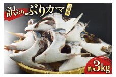 訳あり 三陸産 ぶりカマ 約3kg [阿部長商店 宮城県 気仙沼市 20564778] 魚 魚介 魚介類 ブリ 鰤 ぶり カマ ブリカマ 鰤かま 冷凍 かま 海鮮