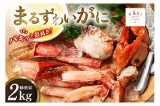大人気！リピーター続出 まるずわいがに 肩脚肉 総重量2kg (6-10肩相当) [カネダイ 宮城県 気仙沼市 20563326] かに カニ かに物語 まるズワイガニ 丸ずわいがに マルズワイガニ 蟹 ずわい