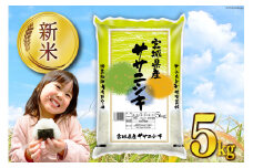 米 宮城県産 ササニシキ 5kg [気仙沼米穀商業協同組合 宮城県 気仙沼市 20564744] 一等米 ブランド米 白米 精米 ご飯 ごはん コメ こめ 小分け 家庭用 レビューキャンペーン