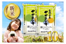 米 宮城県産 ササニシキ 10kg [気仙沼米穀商業協同組合 宮城県 気仙沼市 20564745] 一等米 ブランド米 白米 精米 ご飯 ごはん コメ こめ 小分け 家庭用 レビューキャンペーン