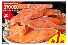訳あり 銀鮭 切身 約1kg [宮城東洋 宮城県 気仙沼市 20564663] 鮭 海鮮 規格外 不揃い さけ サケ 鮭切身 シャケ 切り身 冷凍 家庭用 訳アリ おかず 弁当 支援 サーモン 銀鮭切り身 魚 わけあり