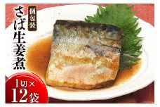 さば生姜煮 1切入×12袋 [気仙沼市物産振興協会 宮城県 気仙沼市 20563296] 魚 鯖 サバ 煮魚 さかな 個包装 小分け さば