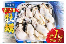 【期間限定発送】 牡蠣 計1kg (約26‐44個入) 500g×2p むき身 生食用 [住喜水産 宮城県 気仙沼市 20564824] 期間限定 冷蔵 新鮮 濃厚 真牡蠣 カキ かき 生牡蠣 魚貝類 生牡蠣 貝 海鮮 魚介類 なべ カキフライ 牡蠣ご飯 魚介