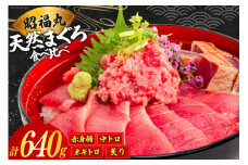まぐろ メバチ マグロ 4種 セット 計640g [臼福本店 宮城県 気仙沼市 20564953] 鮪 魚 魚介 魚介類 海鮮 ねぎとろ ネギトロ 中トロ とろ 赤身 炙り 個包装 食べ比べ 詰め合わせ レビューキャンペーン