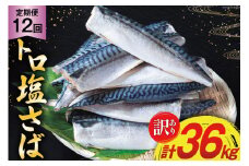 12回 定期便 訳あり 塩サバ フィレ 3kg 総計36kg [足利本店 宮城県 気仙沼市 20564960] 魚介類 魚 サバ サバフィレ さば 鯖 サバフィーレ 鯖フィレ 切り身 冷凍 訳アリ 訳ありサバ 大容量 わけあり トロ