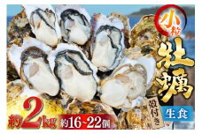 【期間限定発送】 牡蠣 小粒 1〜1年半モノ 生食 殻付き牡蠣 約2kg (約16〜22個入) [住喜水産 宮城県 気仙沼市 20565055] 冷蔵 新鮮 濃厚 真牡蠣 カキ かき 生牡蠣 魚貝類 貝 海鮮 魚介類 なべ カキフライ 牡蠣ご飯 魚介
