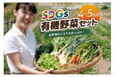 詰め合わせ 気仙沼産 復興 SDGs 有機野菜 4〜5種 セット [はまなす海洋館 宮城県 気仙沼市 20565079] 野菜 やさい なす ナス きゅうり 人参 夏野菜 産地直送 野菜生活 野菜セット