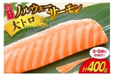 訳あり 無添加 ノルウェー産 アトランティックサーモン 大トロ 生食用 3-5p入 計400g [足利本店 宮城県 気仙沼市 20565658] サーモン さけ サケ 鮭 魚介類 鮭 お刺し身 刺し身 刺身 個包装 海鮮 海鮮丼 魚介 魚 個包装 小分け 冷凍 真空包装 ノルウェー トロ