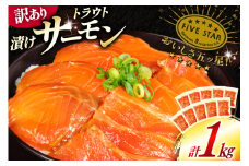 訳あり サーモン トラウト 漬け 総重量 1kg 100g×10p [カネダイ 宮城県 気仙沼市 20565453] 魚 魚介類 刺身 小分け 冷凍 鮭 さけ 海鮮 生食用 真空パック さけ サケ 食品 生食 サーモン 漬け丼 手巻き寿司 丼 海鮮丼 個包装 レビューキャンペーン