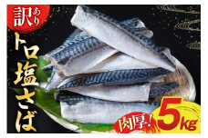 訳あり 塩サバ フィレ 5kg [足利本店 宮城県 気仙沼市 20565496] 魚介類 魚 海鮮 大容量 サバ さば 鯖 サバフィレ サバフィーレ 鯖フィレ 切り身 冷凍 訳アリ わけあり トロサバ 減塩 とろさば