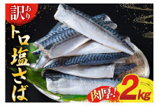 訳あり 塩サバ フィレ 2kg [足利本店 宮城県 気仙沼市 20565508] 魚介類 魚 海鮮 大容量 サバ さば 鯖 サバフィレ サバフィーレ 鯖フィレ 切り身 冷凍 訳アリ 訳あり わけあり トロサバ 減塩 とろさば