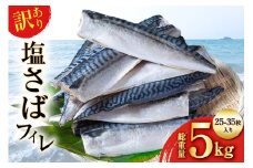 訳あり 減塩 無添加 塩サバ フィレ 総重量 5kg (25-35枚入)[足利本店 宮城県 気仙沼市 20565571] 魚介類 魚 海鮮 大容量 サバ さば 鯖 塩分控えめ サバフィレ サバフィーレ 鯖フィレ 塩サバフィレ 切り身 冷凍 訳アリ わけあり