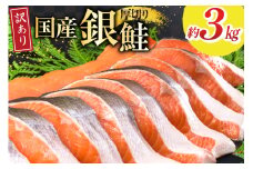 訳あり 国産 減塩 厚切り 塩銀鮭 切身 計 3kg [足利本店 宮城県 気仙沼市 20565398] サーモン 鮭 さけ サケ シャケ 魚 海鮮 魚介 甘塩味 規格外 不揃い 鮭切身 切り身 簡易包装 家庭用 訳アリ 冷凍 塩分控えめ 無添加