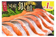 訳あり 国産 減塩 厚切り 塩銀鮭 切身 計1kg [足利本店 宮城県 気仙沼市 20565397] サーモン 鮭 さけ サケ シャケ 魚 海鮮 魚介 甘塩味 規格外 不揃い 鮭切身 切り身 簡易包装 家庭用 訳アリ 塩分控えめ 無添加 冷凍