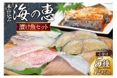 【お中元】本仕込み海の恵５種セット（さば・タラ・ブリ・赤魚・サワラ）5種 12切入 小分け [豊洋海産流通 宮城県 気仙沼市 22424622] 魚 南蛮漬 粕漬 西京漬 冷凍 漬け魚 おかず 焼き魚 食べ比べ 簡単 時短 高級 魚介類 お中元