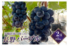 【期間限定発送】 ぶどう 長野パープル2房 (約1kg) [リアス農園 宮城県 気仙沼市 20564832] フルーツ 果物 くだもの ブドウ 葡萄 冷蔵 数量限定 期間限定