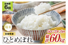 6回 定期便 米 宮城県産 ひとめぼれ 10kg (5kg ×2袋) ×6回 総計 60kg [菊武商店 宮城県 気仙沼市 20565602] お米 こめ コメ 白米 精米 ブランド米 ご飯 ごはん
