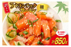 訳あり ノルウェー産 アトランティック サーモン 尾っぽ 850g 柵 おさしみ用 無添加 個包装 [足利本店 宮城県 気仙沼市 20565613] 鮭 さけ サケ サーモン 生食用 おつまみ おかず 冷凍 鮮魚 小分け アトランティックサーモン アトランサーモン