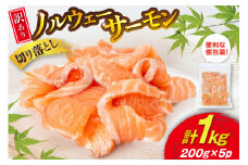 訳あり 無添加 ノルウェー産 アトランティックサーモン 切り落とし おさしみ用 1kg 200g ✕5p [足利本店 宮城県 気仙沼市 20565179] サーモン さけ サケ 魚介類 鮭 尾っぽ はしっこ お刺し身 刺し身 刺身 個包装 海鮮 魚介 魚 小分け 冷凍 真空包装 ノルウェー
