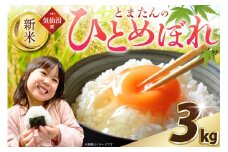 米 令和7年産 宮城県産 とまたんのひとめぼれ 3kg [サンフレッシュ小泉農園 宮城県 気仙沼市 20565645] 新米 ひとめぼれ ブランド米 白米 精米 ご飯 ごはん コメ こめ お米 小分け 家庭用