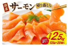 訳あり 国産 サーモン 切り落し おさしみ用 125g×20p 計2.5kg 個包装 [足利本店 宮城県 気仙沼市 20565699] 訳アリ 無添加 真空パック 鮭 銀鮭 冷凍 生食用 刺身 鮭 お刺し身 刺し身 国産銀鮭 海鮮 海鮮丼 魚介 魚 さけ 小分け 冷凍 鮮魚 訳アリ わけあり