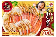 カット済 生 ずわいがに むき身 セット 総重量 750g (正味重量600g) 2-3Lサイズ [カネダイ 宮城県 気仙沼市 20565652] かに カニ ズワイガニ ずわい ズワイ 蟹 棒肉 ポーション かに鍋 かにしゃぶ 生ずわい