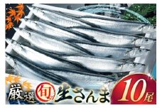 【期間限定発送】 生 さんま 10尾 [阿部長商店 宮城県 気仙沼市 20565760] 魚 サンマ 秋刀魚 生鮮 鮮魚 季節限定