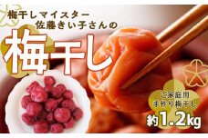 梅干し 約1.2kg ( 1パック × 3 ) 手作り 梅干 うめぼし うめ干し 塩分 すっぱい 熱中症対策 お試し お取り寄せ 国産 人気 おすすめ 宮城 家庭用