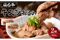 牛肉 仙台牛 牛すじ 煮込み 600g ( 300g × 2個 ) 肉 お肉 にく 牛 ブランド 牛スジ あて おかず おつまみ お酒に合う 冷凍 温めるだけ 簡単調理 時短 家庭用 人気 おすすめ 仙台 宮城 牛すじ肉