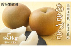 【馬場果樹園】梨「あきづき」約5kg（8～14玉入）9月中旬～順次発送