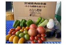 【先行予約】みうら農園 季節の野菜セット（夏野菜）【6月中旬以降より順次発送】